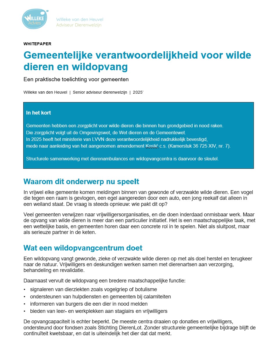 whitepaper 1